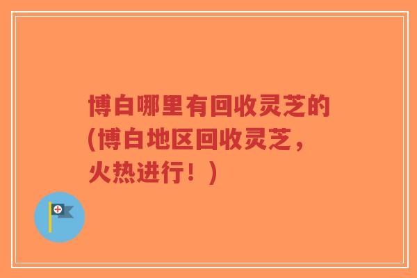 博白哪里有回收灵芝的(博白地区回收灵芝,火热进行!)-第1张图片-超越 博白哪里有回收灵芝的(博白地区回收灵芝,火热进行!)-第1张图片-超越