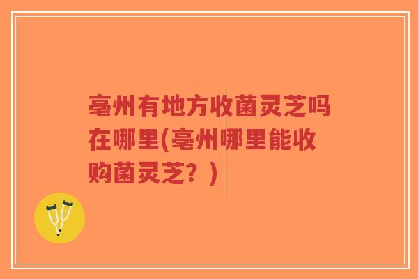 亳州有地方收菌灵芝吗在哪里(亳州哪里能收购菌灵芝?)-第1张图片-超越 亳州有地方收菌灵芝吗在哪里(亳州哪里能收购菌灵芝?)-第1张图片-超越