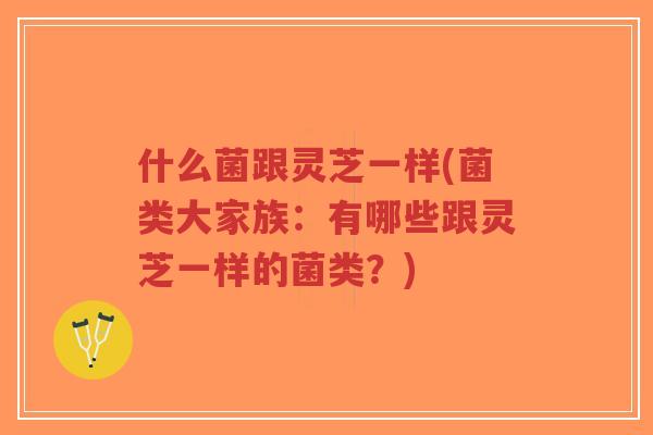什么菌跟灵芝一样(菌类大家族:有哪些跟灵芝一样的菌类?)-第1张图片-超越 什么菌跟灵芝一样(菌类大家族:有哪些跟灵芝一样的菌类?)-第1张图片-超越