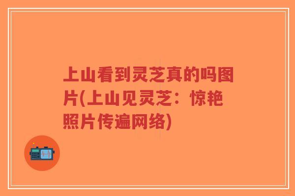上山看到灵芝真的吗图片(上山见灵芝:惊艳照片传遍网络)-第1张图片-超越 上山看到灵芝真的吗图片(上山见灵芝:惊艳照片传遍网络)-第1张图片-超越