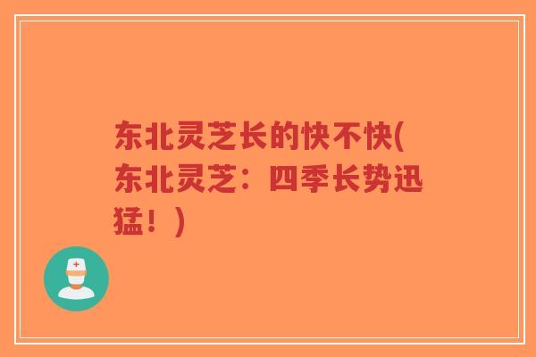 东北灵芝长的快不快(东北灵芝:四季长势迅猛!)-第1张图片-超越 东北灵芝长的快不快(东北灵芝:四季长势迅猛!)-第1张图片-超越