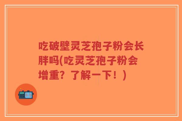 吃破壁灵芝孢子粉会长胖吗(吃灵芝孢子粉会增重？了解一下！)-第1张图片-超越