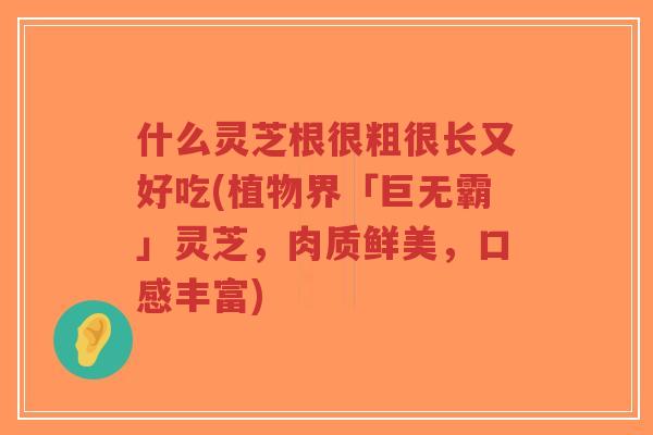 什么灵芝根很粗很长又好吃(植物界「巨无霸」灵芝,肉质鲜美,口感丰富)-第1张图片-超越 什么灵芝根很粗很长又好吃(植物界「巨无霸」灵芝,肉质鲜美,口感丰富)-第1张图片-超越