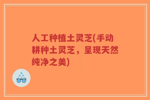 人工种植土灵芝(手动耕种土灵芝,呈现天然纯净之美)-第1张图片-超越 人工种植土灵芝(手动耕种土灵芝,呈现天然纯净之美)-第1张图片-超越