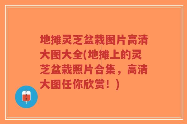地摊灵芝盆栽图片高清大图大全(地摊上的灵芝盆栽照片合集,高清大图任你欣赏!)-第1张图片-超越 地摊灵芝盆栽图片高清大图大全(地摊上的灵芝盆栽照片合集,高清大图任你欣赏!)-第1张图片-超越