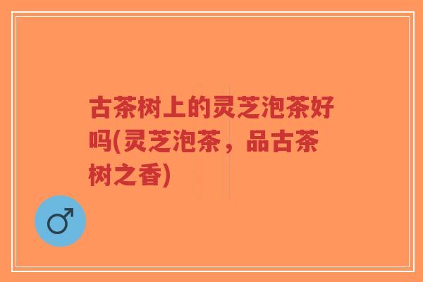 古茶树上的灵芝泡茶好吗(灵芝泡茶,品古茶树之香)-第1张图片-超越 古茶树上的灵芝泡茶好吗(灵芝泡茶,品古茶树之香)-第1张图片-超越