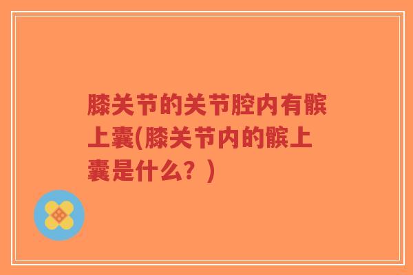 膝关节的关节腔内有髌上囊(膝关节内的髌上囊是什么?)-第1张图片-超越 膝关节的关节腔内有髌上囊(膝关节内的髌上囊是什么?)-第1张图片-超越