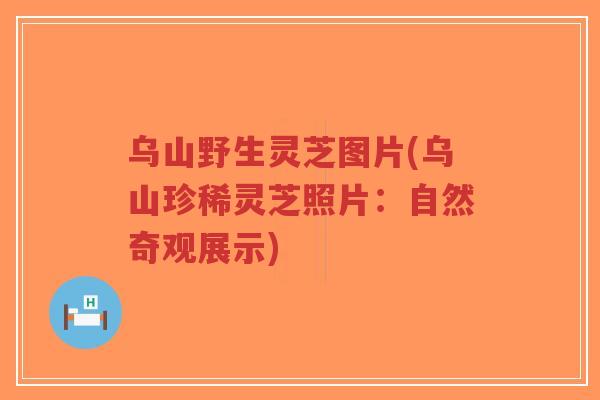 乌山野生灵芝图片(乌山珍稀灵芝照片:自然奇观展示)-第1张图片-超越 乌山野生灵芝图片(乌山珍稀灵芝照片:自然奇观展示)-第1张图片-超越