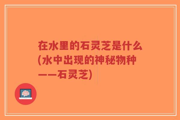 在水里的石灵芝是什么(水中出现的神秘物种——石灵芝)-第1张图片-超越 在水里的石灵芝是什么(水中出现的神秘物种——石灵芝)-第1张图片-超越