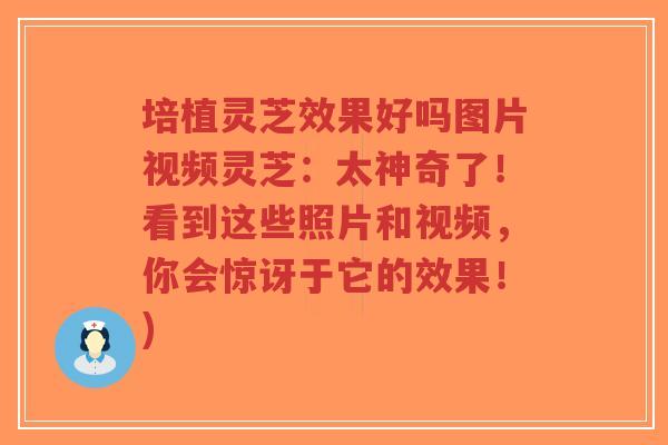 培植灵芝效果好吗图片视频灵芝:太神奇了!看到这些照片和视频,你会惊讶于它的效果!)-第1张图片-超越 培植灵芝效果好吗图片视频灵芝:太神奇了!看到这些照片和视频,你会惊讶于它的效果!)-第1张图片-超越