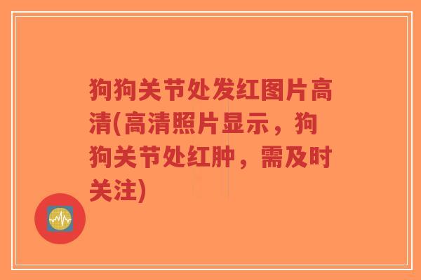 狗狗关节处发红图片高清(高清照片显示，狗狗关节处红肿，需及时关注)-第1张图片-超越
