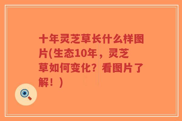 十年灵芝草长什么样图片(生态10年,灵芝草如何变化?看图片了解!)-第1张图片-超越 十年灵芝草长什么样图片(生态10年,灵芝草如何变化?看图片了解!)-第1张图片-超越