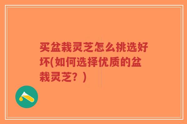 买盆栽灵芝怎么挑选好坏(如何选择优质的盆栽灵芝?)-第1张图片-超越 买盆栽灵芝怎么挑选好坏(如何选择优质的盆栽灵芝?)-第1张图片-超越