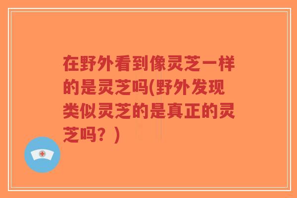 在野外看到像灵芝一样的是灵芝吗(野外发现类似灵芝的是真正的灵芝吗?)-第1张图片-超越 在野外看到像灵芝一样的是灵芝吗(野外发现类似灵芝的是真正的灵芝吗?)-第1张图片-超越