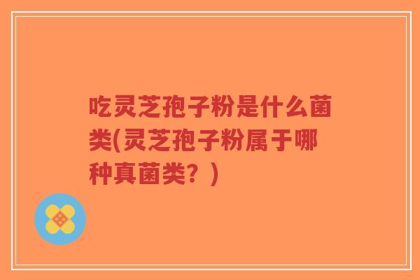 吃灵芝孢子粉是什么菌类(灵芝孢子粉属于哪种真菌类?)-第1张图片-超越 吃灵芝孢子粉是什么菌类(灵芝孢子粉属于哪种真菌类?)-第1张图片-超越