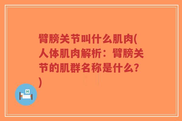 臂膀关节叫什么肌肉(人体肌肉解析:臂膀关节的肌群名称是什么?)-第1张图片-超越 臂膀关节叫什么肌肉(人体肌肉解析:臂膀关节的肌群名称是什么?)-第1张图片-超越