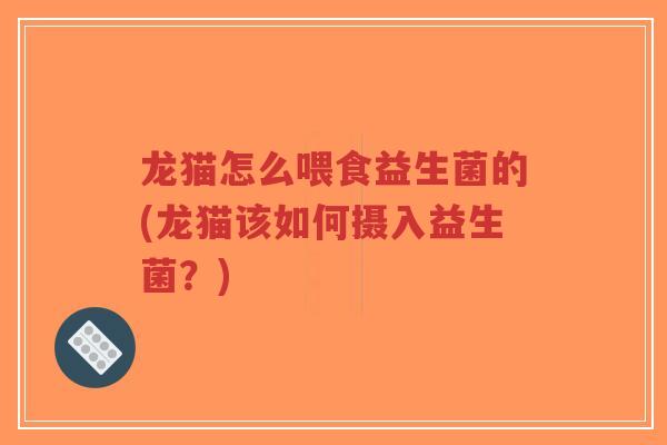 龙猫怎么喂食益生菌的(龙猫该如何摄入益生菌?)-第1张图片-超越 龙猫怎么喂食益生菌的(龙猫该如何摄入益生菌?)-第1张图片-超越