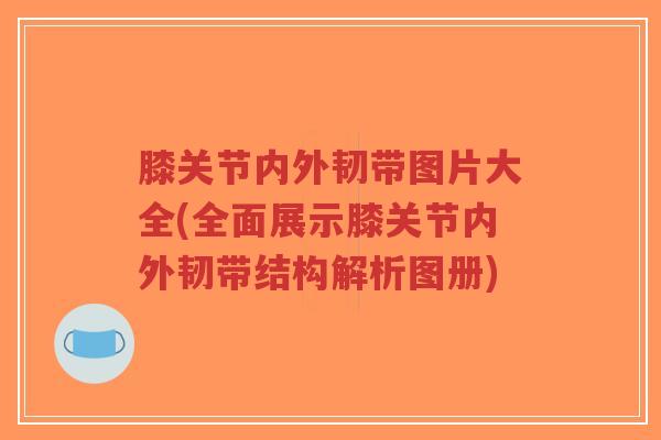膝关节内外韧带图片大全(全面展示膝关节内外韧带结构解析图册)-第1张图片-超越 膝关节内外韧带图片大全(全面展示膝关节内外韧带结构解析图册)-第1张图片-超越