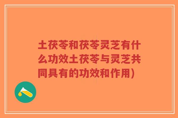 土茯苓和茯苓灵芝有什么功效土茯苓与灵芝共同具有的功效和作用)-第1张图片-超越 土茯苓和茯苓灵芝有什么功效土茯苓与灵芝共同具有的功效和作用)-第1张图片-超越