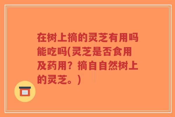 在树上摘的灵芝有用吗能吃吗(灵芝是否食用及药用？摘自自然树上的灵芝。)-第1张图片-超越
