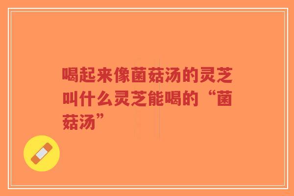喝起来像菌菇汤的灵芝叫什么灵芝能喝的“菌菇汤”-第1张图片-超越 喝起来像菌菇汤的灵芝叫什么灵芝能喝的“菌菇汤”-第1张图片-超越