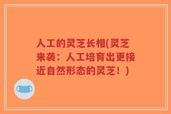 人工的灵芝长相(灵芝来袭：人工培育出更接近自然形态的灵芝！)-第1张图片-超越