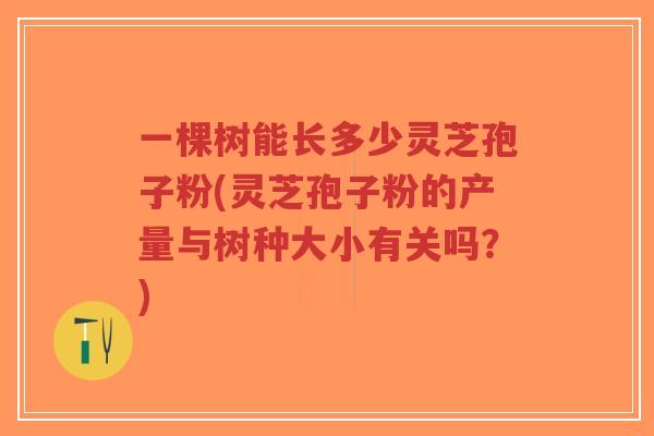 一棵树能长多少灵芝孢子粉(灵芝孢子粉的产量与树种大小有关吗?)-第1张图片-超越 一棵树能长多少灵芝孢子粉(灵芝孢子粉的产量与树种大小有关吗?)-第1张图片-超越