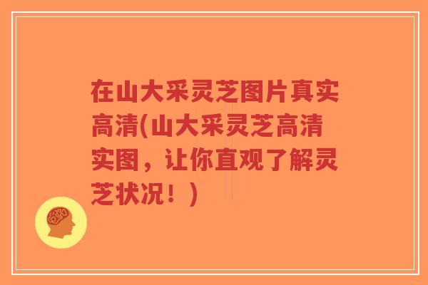 在山大采灵芝图片真实高清(山大采灵芝高清实图,让你直观了解灵芝状况!)-第1张图片-超越 在山大采灵芝图片真实高清(山大采灵芝高清实图,让你直观了解灵芝状况!)-第1张图片-超越