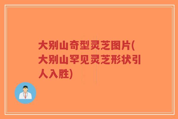 大别山奇型灵芝图片(大别山罕见灵芝形状引人入胜)-第1张图片-超越 大别山奇型灵芝图片(大别山罕见灵芝形状引人入胜)-第1张图片-超越