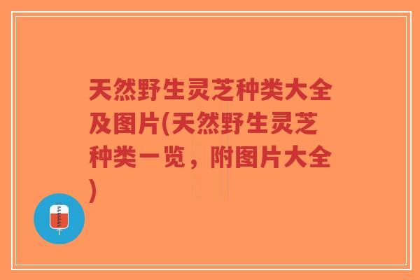 天然野生灵芝种类大全及图片(天然野生灵芝种类一览,附图片大全)-第1张图片-超越 天然野生灵芝种类大全及图片(天然野生灵芝种类一览,附图片大全)-第1张图片-超越