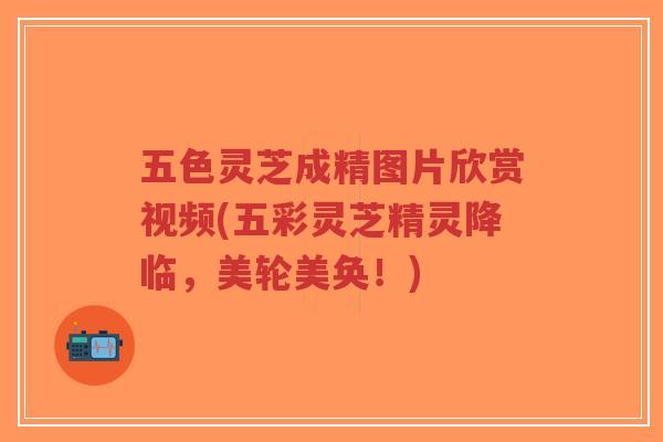 五色灵芝成精图片欣赏视频(五彩灵芝精灵降临,美轮美奂!)-第1张图片-超越 五色灵芝成精图片欣赏视频(五彩灵芝精灵降临,美轮美奂!)-第1张图片-超越