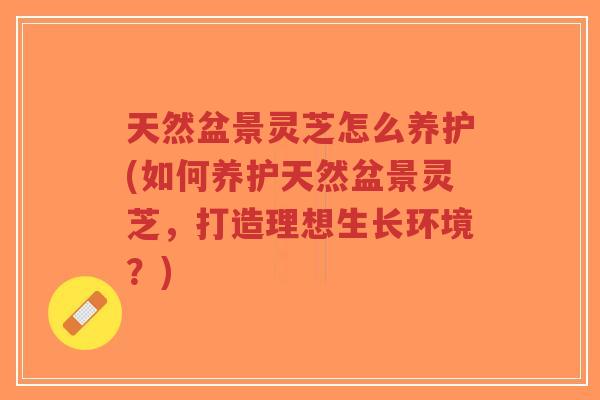 天然盆景灵芝怎么养护(如何养护天然盆景灵芝,打造理想生长环境?)-第1张图片-超越 天然盆景灵芝怎么养护(如何养护天然盆景灵芝,打造理想生长环境?)-第1张图片-超越