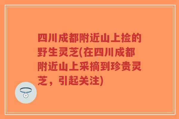 四川成都附近山上捡的野生灵芝(在四川成都附近山上采摘到珍贵灵芝,引起关注)-第1张图片-超越 四川成都附近山上捡的野生灵芝(在四川成都附近山上采摘到珍贵灵芝,引起关注)-第1张图片-超越