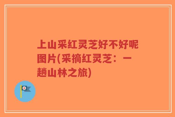 上山采红灵芝好不好呢图片(采摘红灵芝:一趟山林之旅)-第1张图片-超越 上山采红灵芝好不好呢图片(采摘红灵芝:一趟山林之旅)-第1张图片-超越