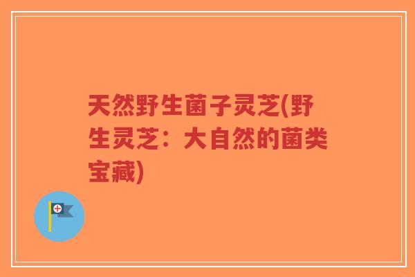 天然野生菌子灵芝(野生灵芝:大自然的菌类宝藏)-第1张图片-超越 天然野生菌子灵芝(野生灵芝:大自然的菌类宝藏)-第1张图片-超越