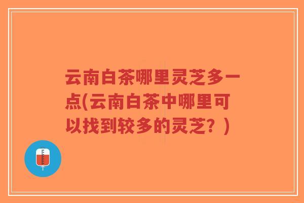 云南白茶哪里灵芝多一点(云南白茶中哪里可以找到较多的灵芝?)-第1张图片-超越 云南白茶哪里灵芝多一点(云南白茶中哪里可以找到较多的灵芝?)-第1张图片-超越