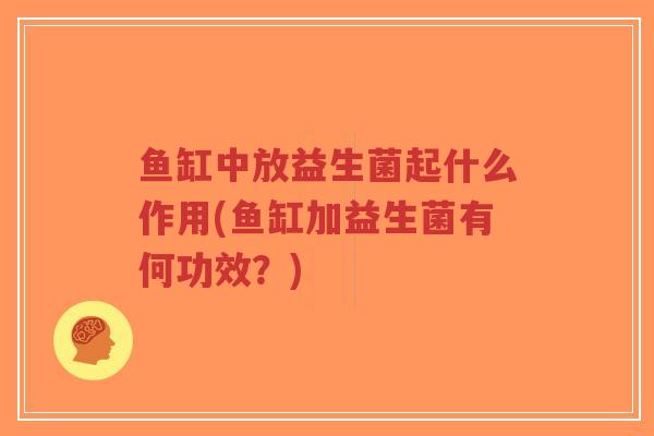 鱼缸中放益生菌起什么作用(鱼缸加益生菌有何功效?)-第1张图片-超越 鱼缸中放益生菌起什么作用(鱼缸加益生菌有何功效?)-第1张图片-超越