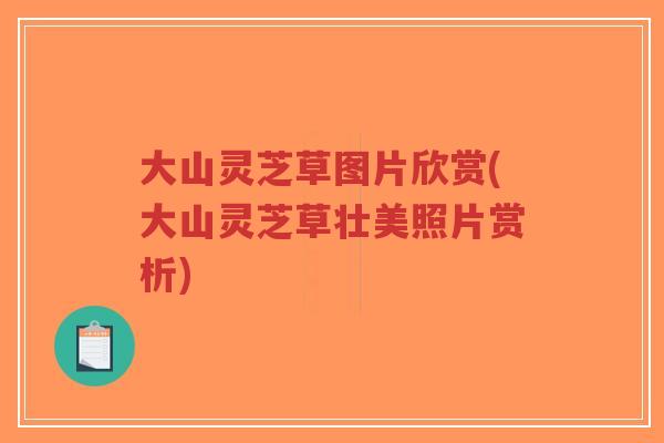 大山灵芝草图片欣赏(大山灵芝草壮美照片赏析)-第1张图片-超越