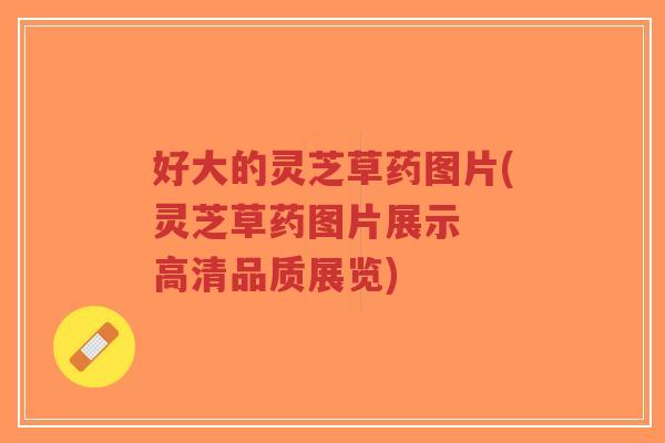 好大的灵芝草药图片(灵芝草药图片展示 高清品质展览)-第1张图片-超越 好大的灵芝草药图片(灵芝草药图片展示 高清品质展览)-第1张图片-超越