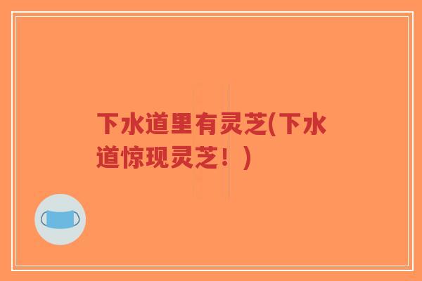下水道里有灵芝(下水道惊现灵芝!)-第1张图片-超越 下水道里有灵芝(下水道惊现灵芝!)-第1张图片-超越