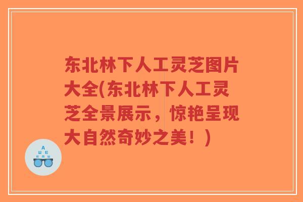 东北林下人工灵芝图片大全(东北林下人工灵芝全景展示,惊艳呈现大自然奇妙之美!)-第1张图片-超越 东北林下人工灵芝图片大全(东北林下人工灵芝全景展示,惊艳呈现大自然奇妙之美!)-第1张图片-超越