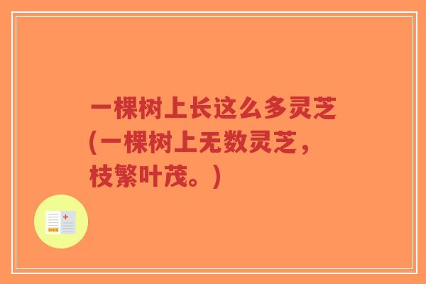 一棵树上长这么多灵芝(一棵树上无数灵芝,枝繁叶茂。)-第1张图片-超越 一棵树上长这么多灵芝(一棵树上无数灵芝,枝繁叶茂。)-第1张图片-超越