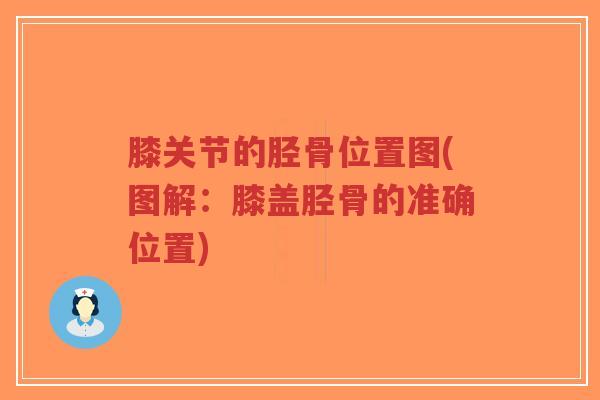 膝关节的胫骨位置图(图解:膝盖胫骨的准确位置)-第1张图片-超越 膝关节的胫骨位置图(图解:膝盖胫骨的准确位置)-第1张图片-超越