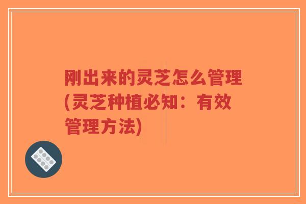 刚出来的灵芝怎么管理(灵芝种植必知:有效管理方法)-第1张图片-超越 刚出来的灵芝怎么管理(灵芝种植必知:有效管理方法)-第1张图片-超越