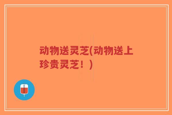 动物送灵芝(动物送上珍贵灵芝！)-第1张图片-超越