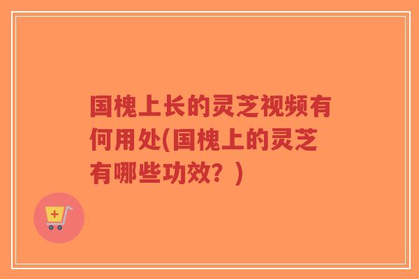 国槐上长的灵芝视频有何用处(国槐上的灵芝有哪些功效?)-第1张图片-超越 国槐上长的灵芝视频有何用处(国槐上的灵芝有哪些功效?)-第1张图片-超越