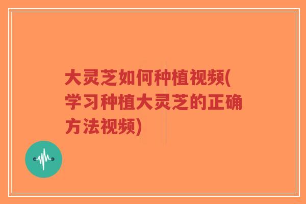 大灵芝如何种植视频(学习种植大灵芝的正确方法视频)-第1张图片-超越 大灵芝如何种植视频(学习种植大灵芝的正确方法视频)-第1张图片-超越