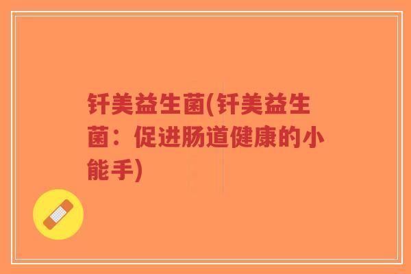 钎美益生菌(钎美益生菌:促进肠道健康的小能手)-第1张图片-超越 钎美益生菌(钎美益生菌:促进肠道健康的小能手)-第1张图片-超越