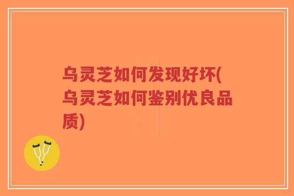 乌灵芝如何发现好坏(乌灵芝如何鉴别优良品质)-第1张图片-超越 乌灵芝如何发现好坏(乌灵芝如何鉴别优良品质)-第1张图片-超越