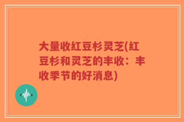 大量收红豆杉灵芝(红豆杉和灵芝的丰收:丰收季节的好消息)-第1张图片-超越 大量收红豆杉灵芝(红豆杉和灵芝的丰收:丰收季节的好消息)-第1张图片-超越